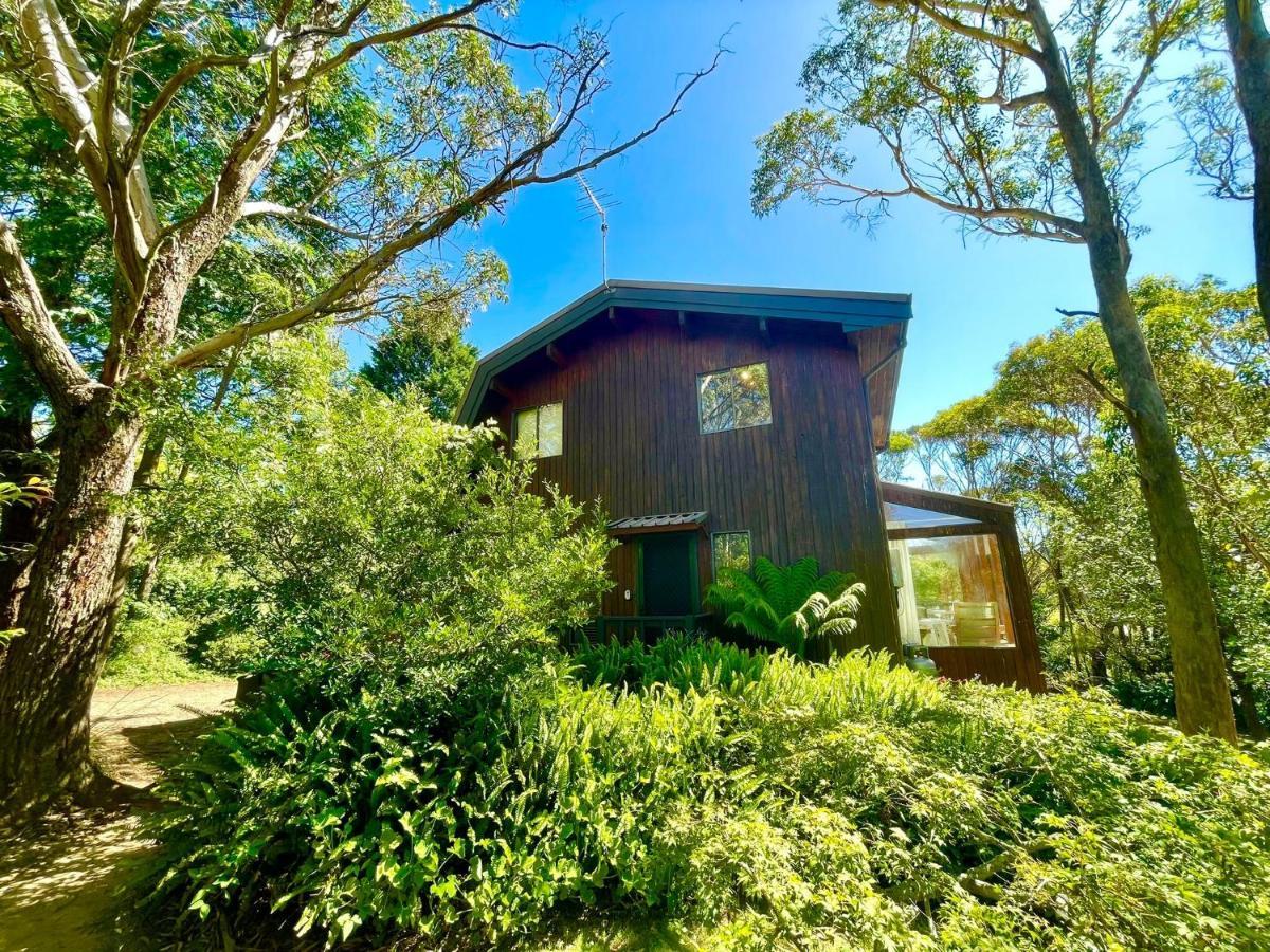 Sublime Cedar Lodge Leura Buitenkant foto