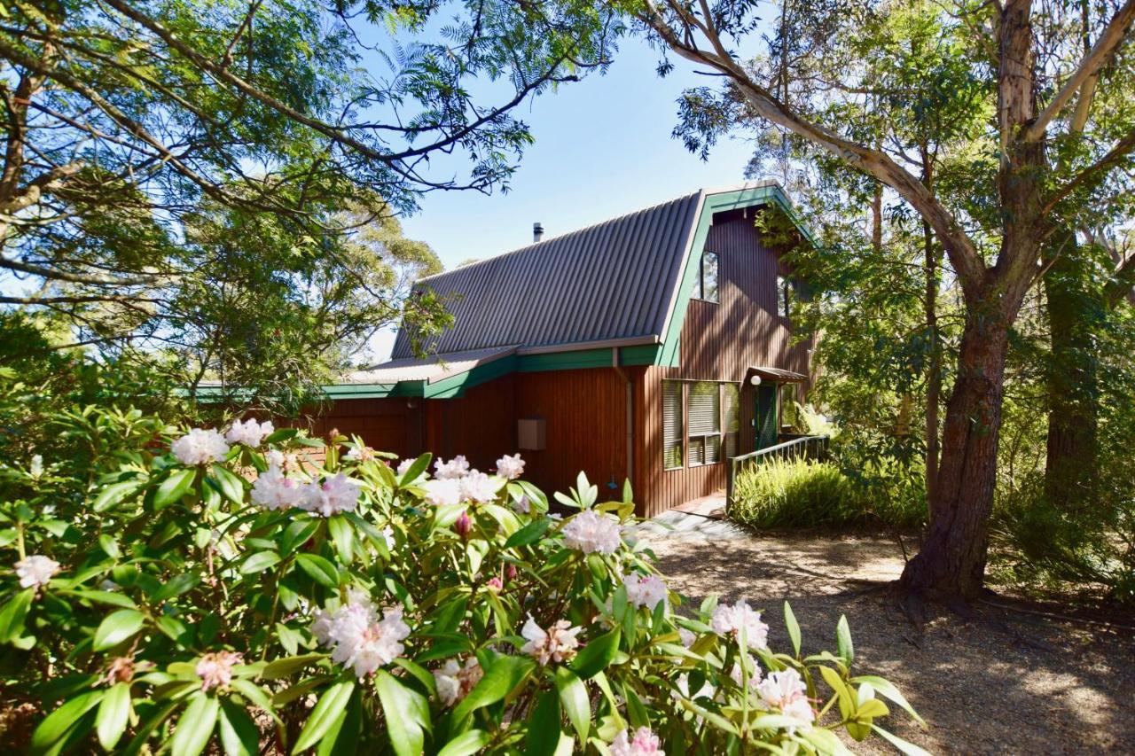 Sublime Cedar Lodge Leura Buitenkant foto